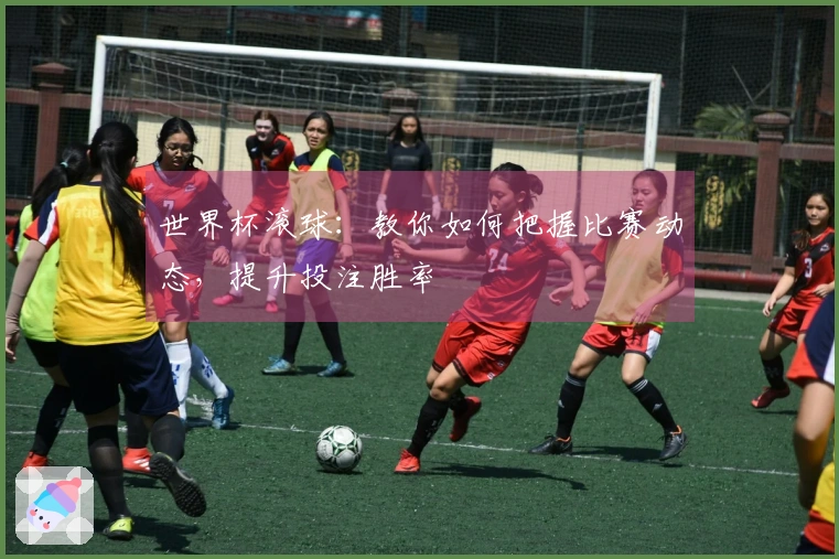 世界杯滚球:教你如何把握比赛动态,提升投注胜率