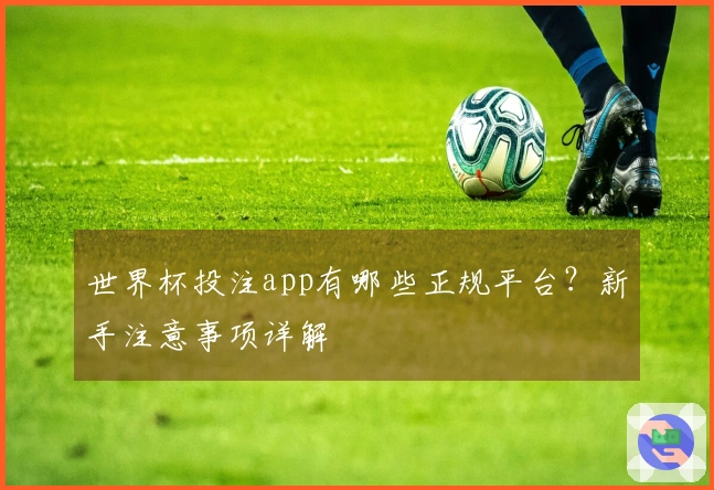 世界杯投注app有哪些正规平台？新手注意事项详解