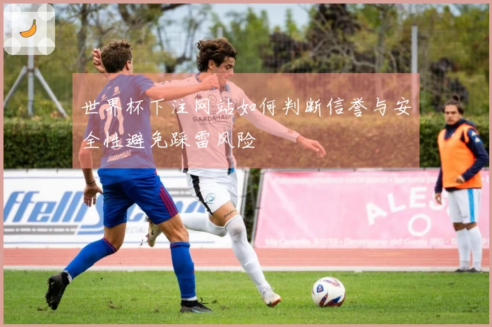 世界杯下注网站如何判断信誉与安全性避免踩雷风险