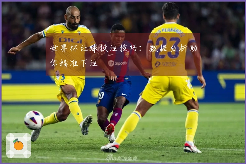 世界杯让球投注技巧：数据分析助你精准下注