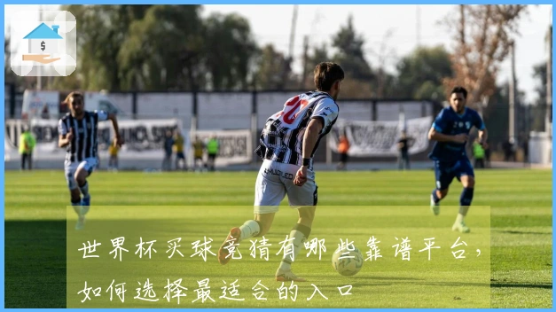 世界杯买球竞猜有哪些靠谱平台，如何选择最适合的入口