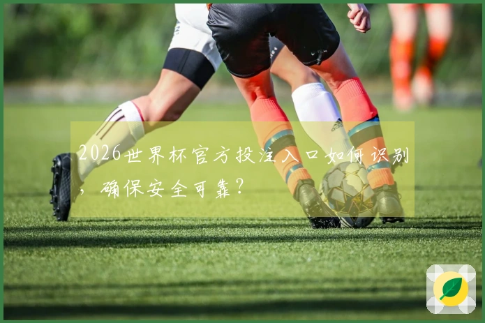 2026世界杯官方投注入口如何识别，确保安全可靠？