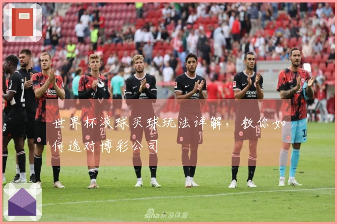 世界杯滚球买球玩法详解，教你如何选对博彩公司