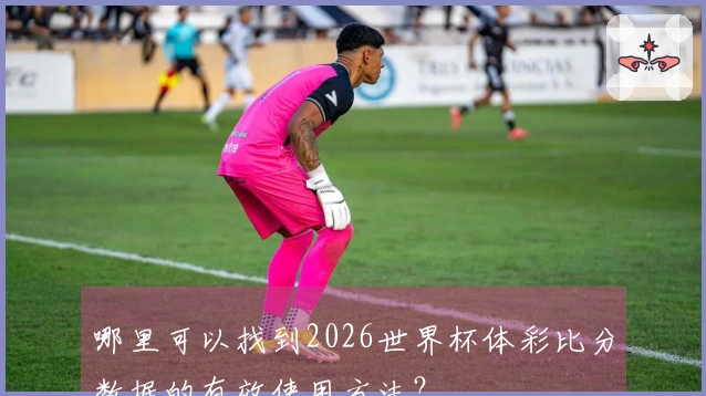 哪里可以找到2026世界杯体彩比分数据的有效使用方法？