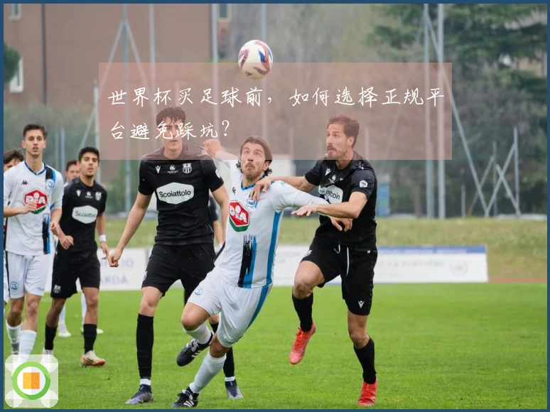 世界杯买足球前，如何选择正规平台避免踩坑？