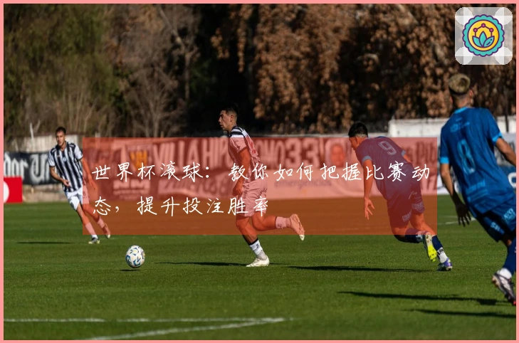 世界杯滚球：教你如何把握比赛动态，提升投注胜率