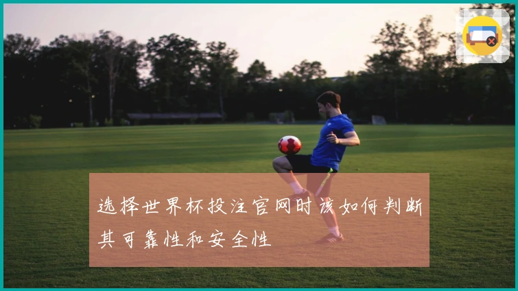 选择世界杯投注官网时该如何判断其可靠性和安全性