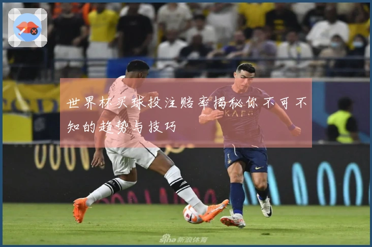 世界杯买球投注赔率揭秘你不可不知的趋势与技巧