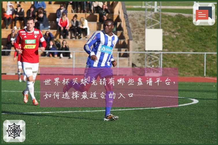世界杯买球竞猜有哪些靠谱平台，如何选择最适合的入口
