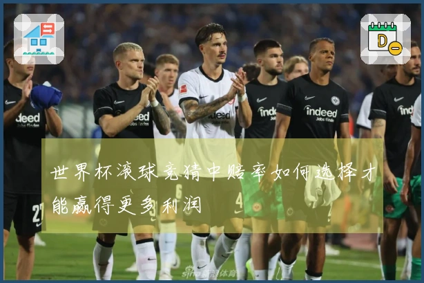 世界杯滚球竞猜中赔率如何选择才能赢得更多利润