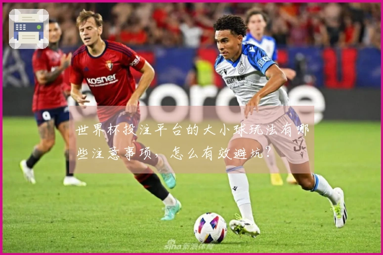 世界杯投注平台的大小球玩法有哪些注意事项，怎么有效避坑？