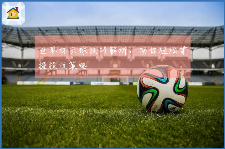 世界杯买球技巧解析，助你轻松掌握投注策略