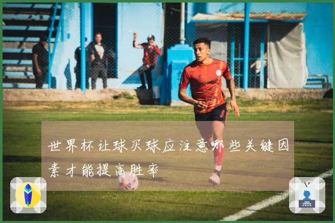 世界杯让球买球应注意哪些关键因素才能提高胜率