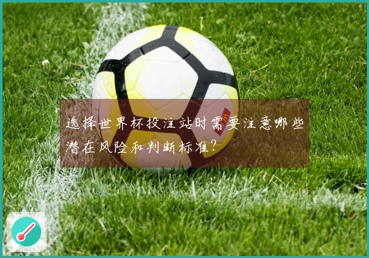 选择世界杯投注站时需要注意哪些潜在风险和判断标准？