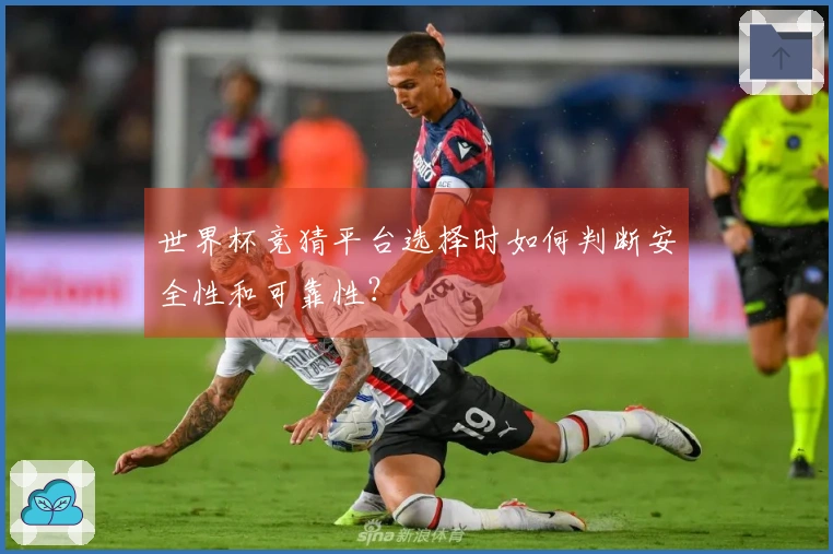 世界杯竞猜平台选择时如何判断安全性和可靠性？