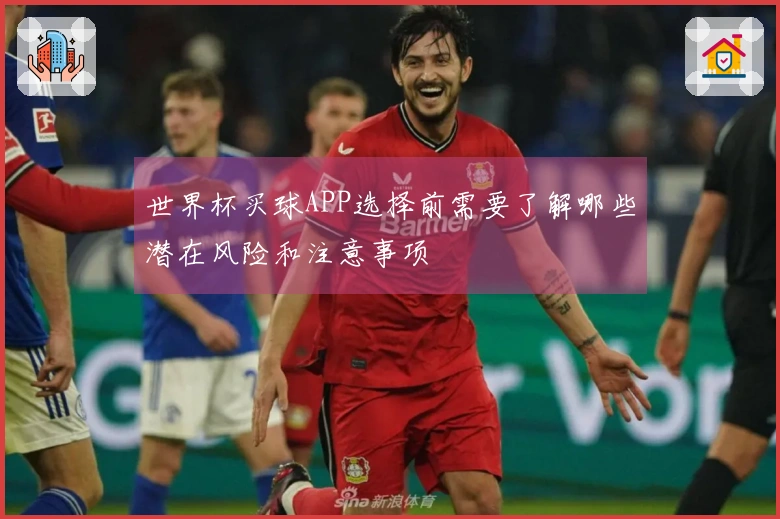 世界杯买球APP选择前需要了解哪些潜在风险和注意事项