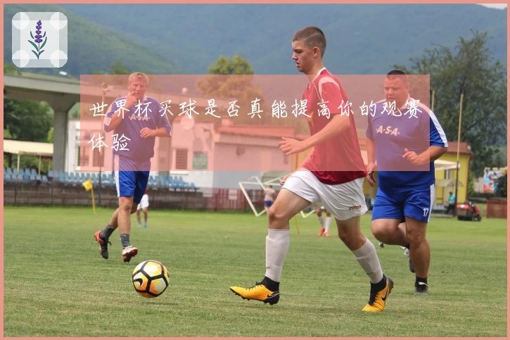 世界杯买球是否真能提高你的观赛体验