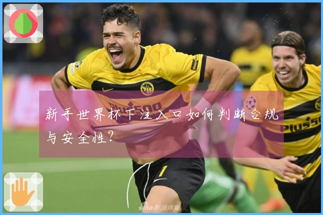 新手世界杯下注入口如何判断合规与安全性？
