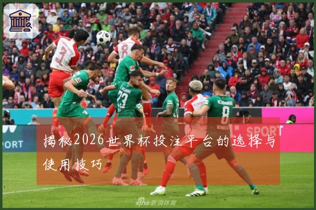 揭秘2026世界杯投注平台的选择与使用技巧
