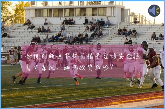 如何判断世界杯竞猜平台的安全性与可靠性，避免投资风险？