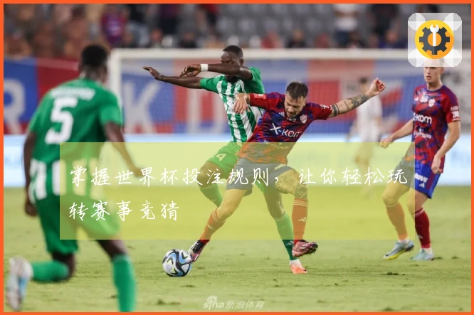掌握世界杯投注规则，让你轻松玩转赛事竞猜