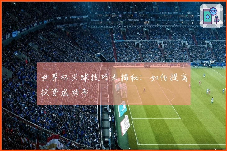 世界杯买球技巧大揭秘：如何提高投资成功率