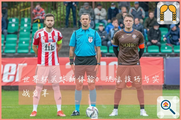 世界杯买球新体验：玩法技巧与实战分享