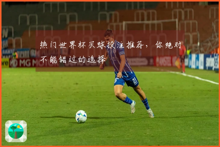 热门世界杯买球投注推荐，你绝对不能错过的选择