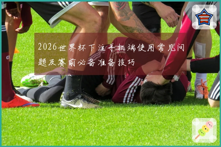 2026世界杯下注手机端使用常见问题及赛前必备准备技巧