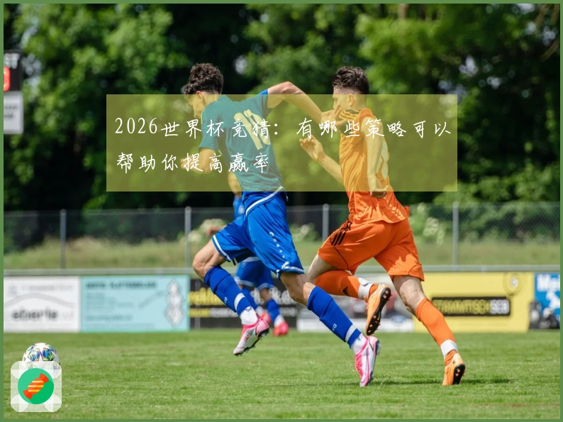 2026世界杯竞猜：有哪些策略可以帮助你提高赢率