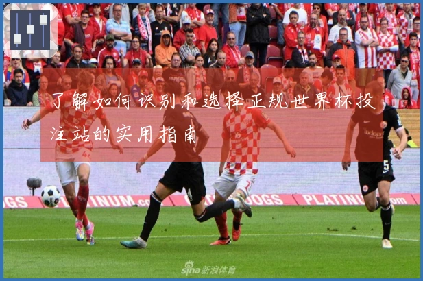 了解如何识别和选择正规世界杯投注站的实用指南