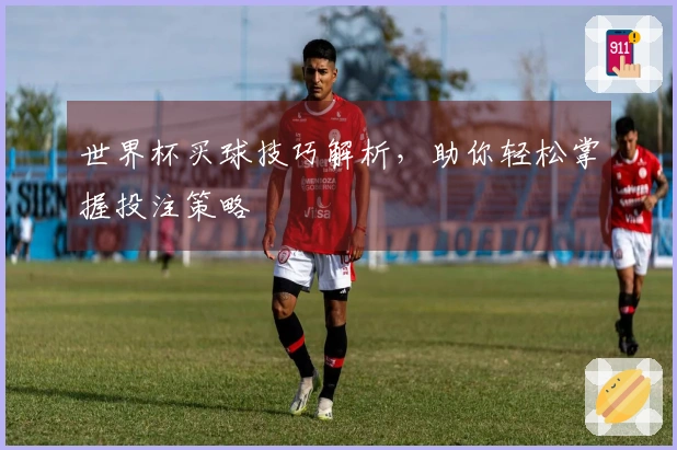 世界杯买球技巧解析，助你轻松掌握投注策略