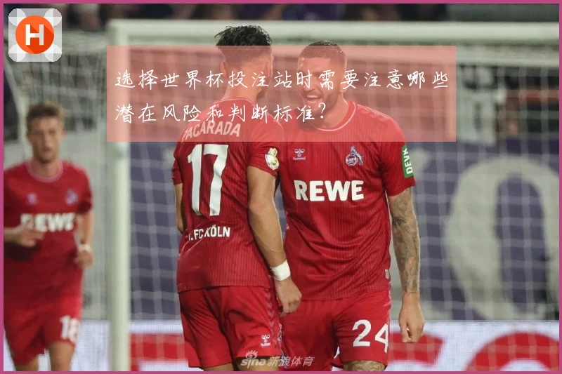选择世界杯投注站时需要注意哪些潜在风险和判断标准？